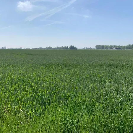 شقة In By Scenic Beaches نيوبورت