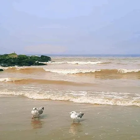 In By Scenic Beaches