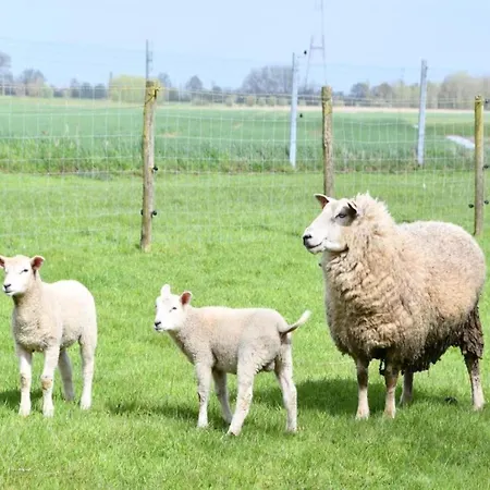 In By Scenic Beaches Apartment Nieuwpoort