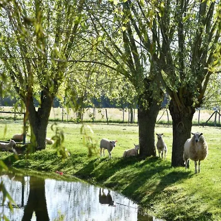 Apartment In By Scenic Beaches *